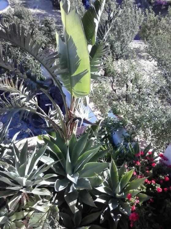 Casa Rural Las Cascaras טחדה מראה חיצוני תמונה
